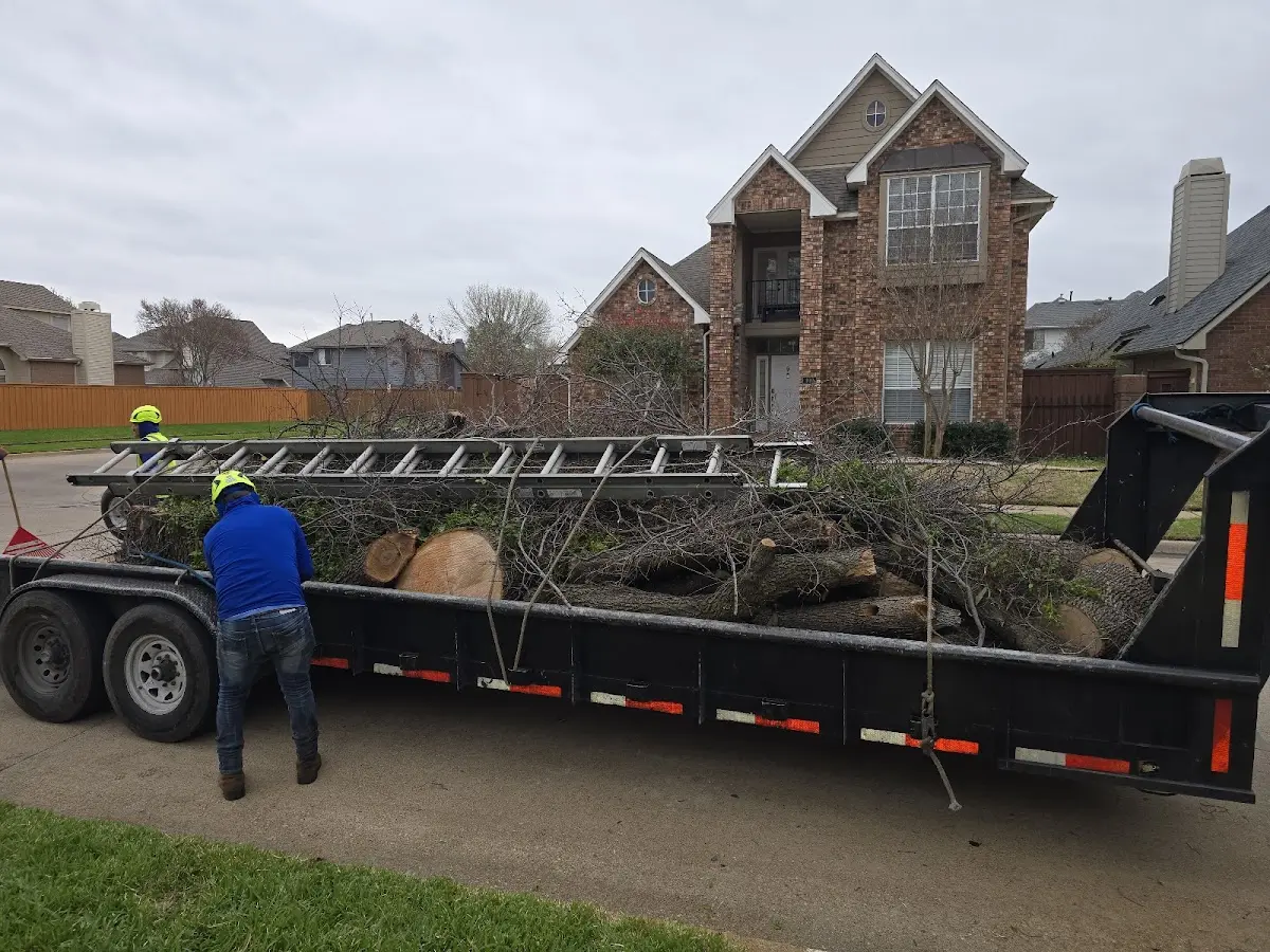 Expert Tree Pest Control with proper safety equipment in Adamant